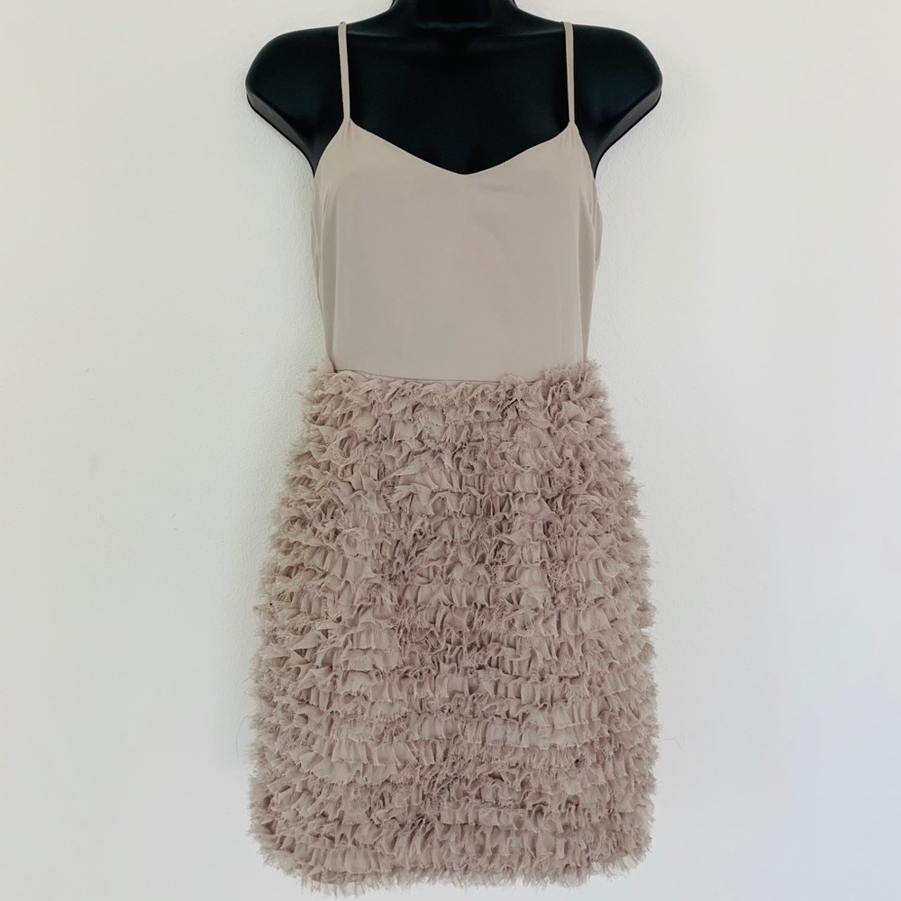 NWT Topshop ruffle dress